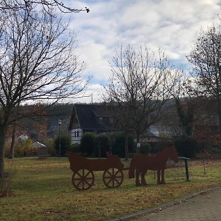 Villa Fennies Huette Medebach Esterno foto