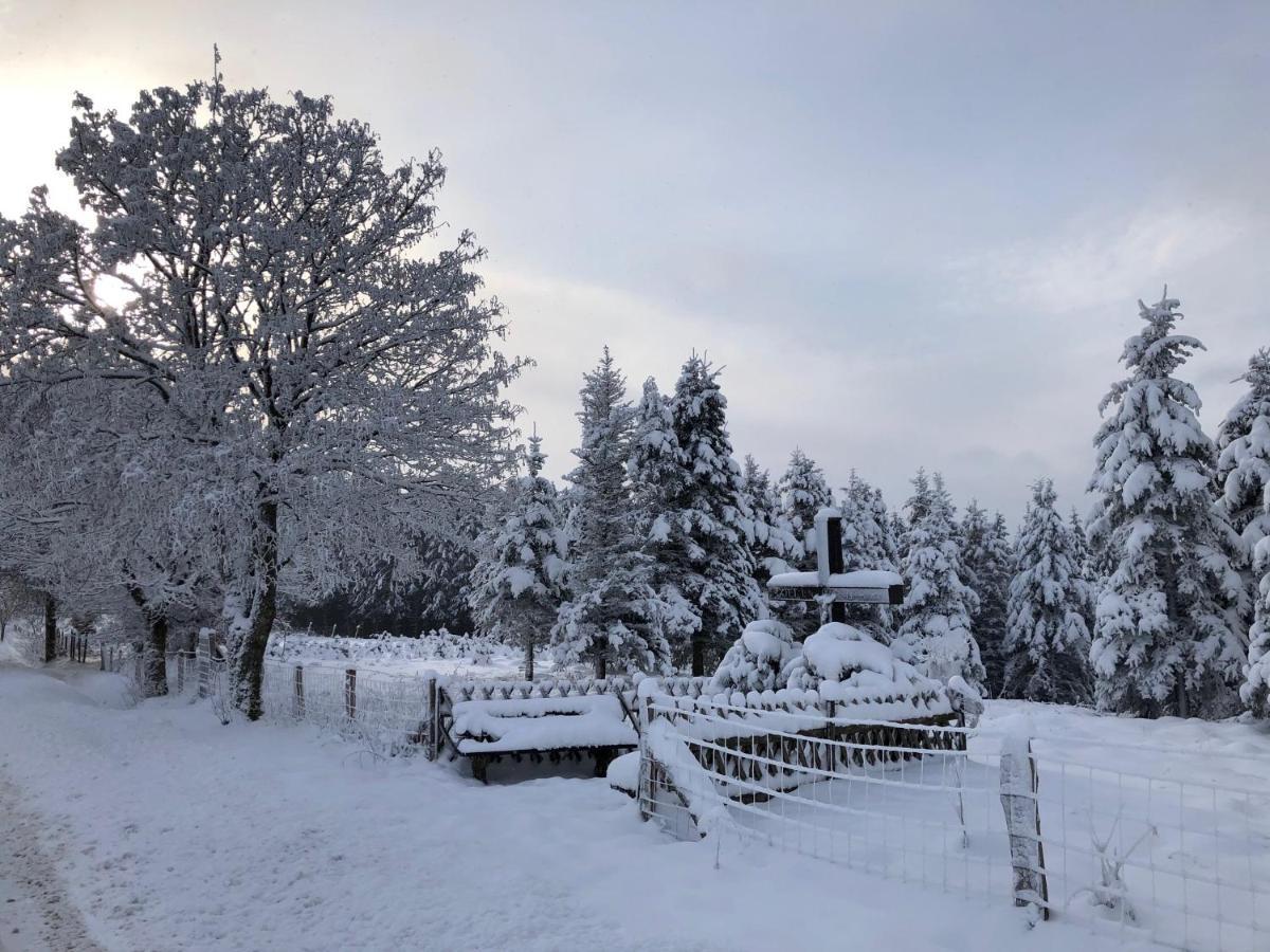 Villa Fennies Huette Medebach Esterno foto