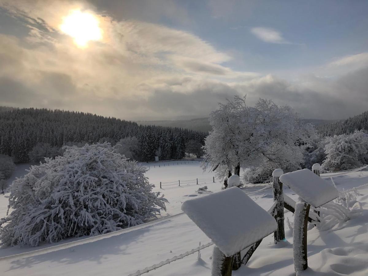 Villa Fennies Huette Medebach Esterno foto